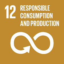 SDG 12