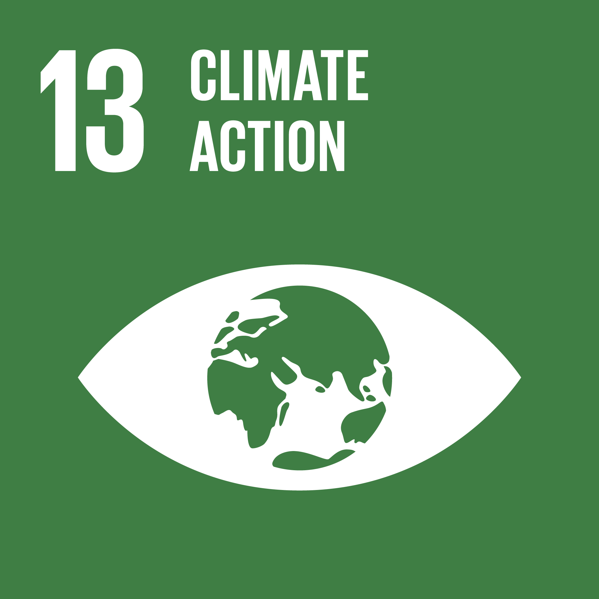 SDG 13